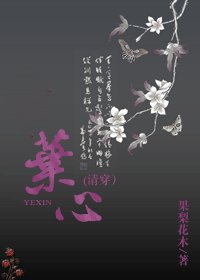 叶心(清穿)