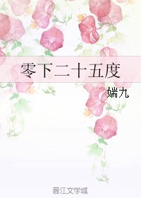 零下二十五度
