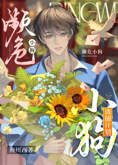 瀕危小狗誘捕計劃